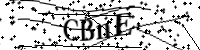 Teclee las letras más abajo